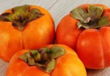 Хурма інжир (ромашка): корисні властивості, в’яже чи ні, опис сорту