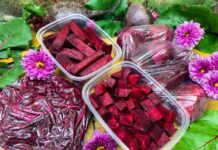 Хаб просвітництва. Новий проект товариства “знання” та компанії cisco зробить якісну освіту доступнішою