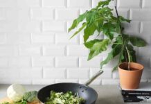 Рейтинг топ 10 кращих сковорідок вок: для чого потрібна, яку вибрати, ціна, плюси і мінуси