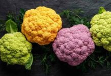 Як зберегти цвітну капусту на зиму