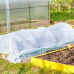 Де розсаді краще живеться: вибираємо парники