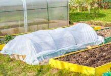 Де розсаді краще живеться: вибираємо парники