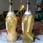 Рецепти хріновухи на горілці: класичний, з медом, з імбиром