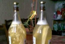 Рецепти хріновухи на горілці: класичний, з медом, з імбиром