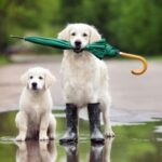 Альберт пірпойнт-останній кат імперії