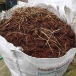 Добриво яблунь гноєм навесні і восени