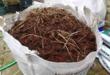 Добриво яблунь гноєм навесні і восени