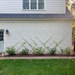 Як зробити шпалеру своїми руками