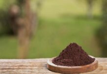 Кавова гуща для боротьби зі шкідниками: міф чи реальність?