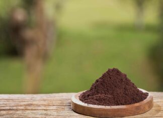 Кавова гуща для боротьби зі шкідниками: міф чи реальність?